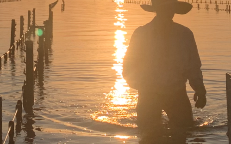 sunset1