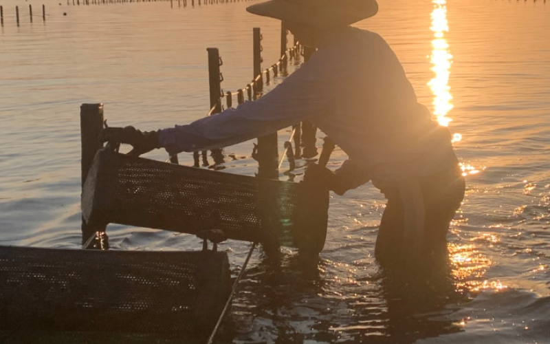 sunset2